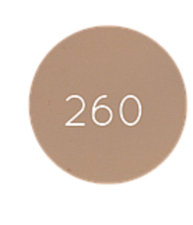 EYEBROW POWDER (260)